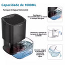 Desumidificador de ar antimofo