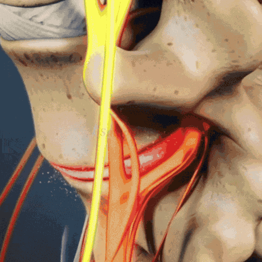 Animação com o SmoothSpine posicionado sob a lombar e representações ilustrativas da coluna